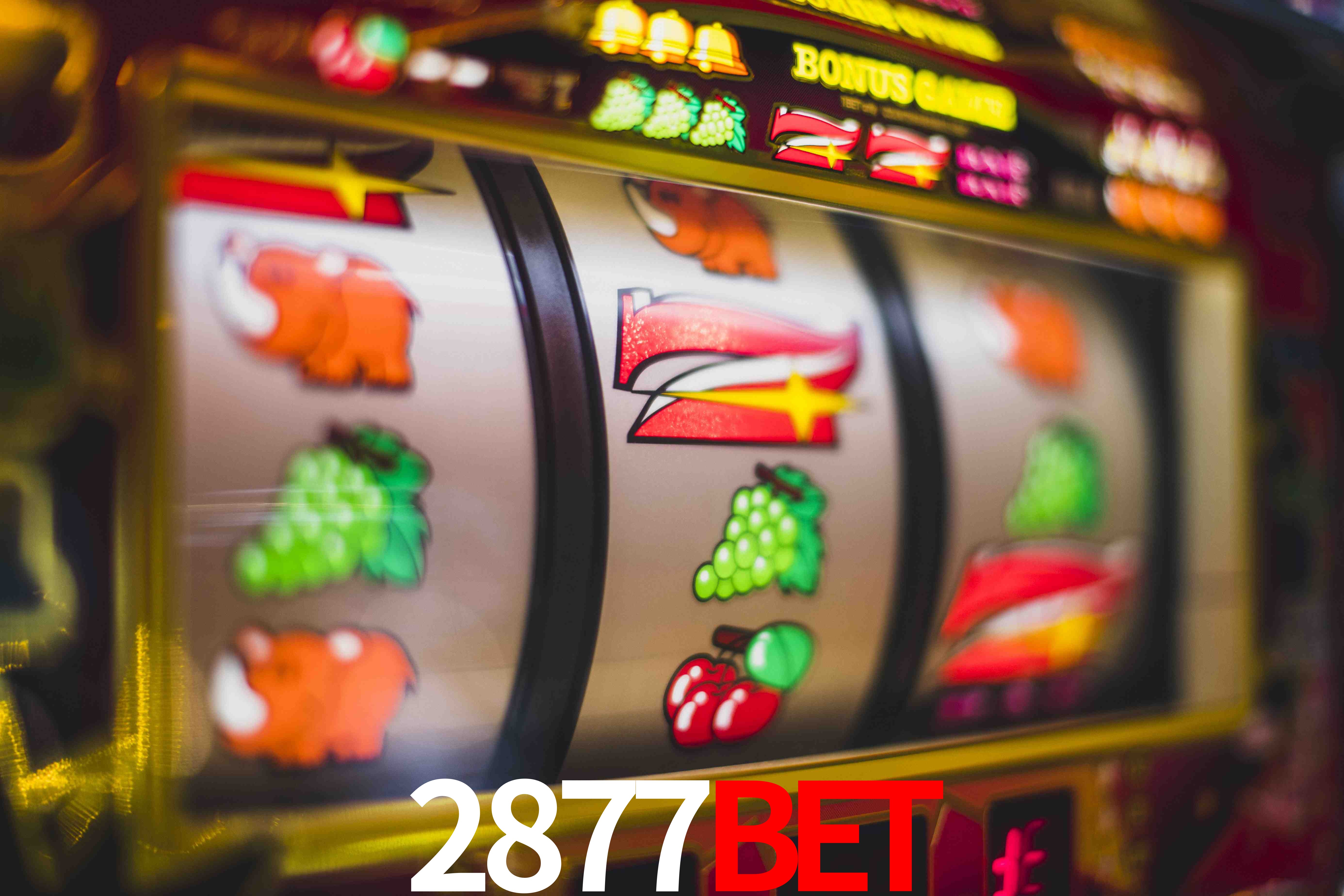 Tennis Betting 2877Bet