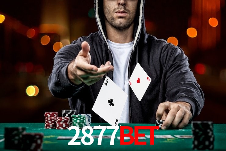 2877Bet